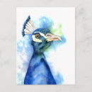 Recherche de paon cartes invitations Amoureux des oiseaux