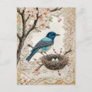 Recherche de nid d oiseau cartes postales Antique