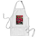 Recherche de fuchsia tabliers Fleurs