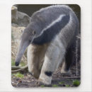 Recherche de geant tapis souris Animaux
