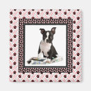 Recherche de motif animal magnets Pour animaux