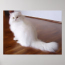 Recherche de persee posters Photographie