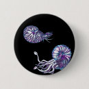 Recherche de tentacules badges Calmar