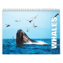 Recherche de baleine calendriers Nature