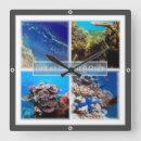 Recherche de great barrier reef posters Grand barrière récif