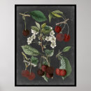 Recherche de variété art Botanique