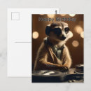 Recherche de meerkat vœux cartes Suricate