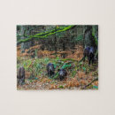 Recherche de sanglier puzzles Pour tous