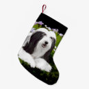 Recherche de colley chaussette de noël Pour tous