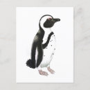 Recherche de dessin crayon cartes postales Noir et blanc