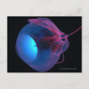 Recherche de cellules cartes postales Gens