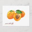 Recherche de abricot cartes postales Pour tous