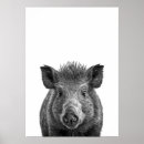 Recherche de écorce posters Imprimer
