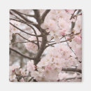 Recherche de japonaise cuisine accessoires Sakura