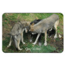 Recherche de loup magnets Amoureux du loup