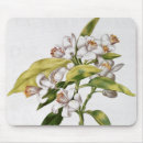 Recherche de guirlande tapis souris Nicolas