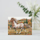 Recherche de islandais cartes postales Poney