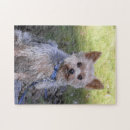 Recherche de yorkie puzzles Bleu