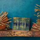 Recherche de chauve plaques Arbre