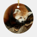 Recherche de menacé ornements Animal