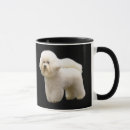 Recherche de bichon tasses Frise de bichon