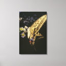 Recherche de papillon de machaon art Nature