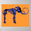 Recherche de squelettes animaux posters Dinosaure
