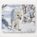 Recherche de arctique tapis souris Canada