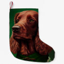 Recherche de irlandais chaussette de noël Jour saint patricks