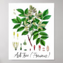 Recherche de folklore posters Pour elle