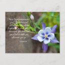 Recherche de columbine cartes postales Violet