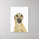 Recherche de chien bizarre chien bizarre art Vertical