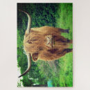 Recherche de highland cow puzzles Animal