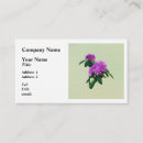 Recherche de rhododendron Printemps