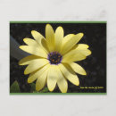 Recherche de soleil jaune cartes postales Photographie