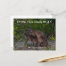 Recherche de amusé cartes postales Animal