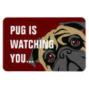 Recherche de observé magnets Chien