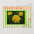 Recherche de fleur de pissenlit cartes postales Pissenlits
