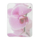 Recherche de orchidée magnets Nature