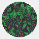 Recherche de arbustes autocollants Plante