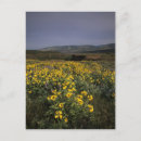 Recherche de gorge du fleuve columbia cartes postales Paysage