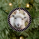 Recherche de moutons ornements Agneau