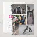 Recherche de allemande invitations Pour eux
