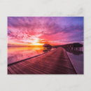 Recherche de south beach cartes postales Sunset