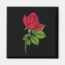 Recherche de rosa magnete Floral