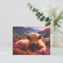 Recherche de highlands scotland cartes postales De vache de montagne