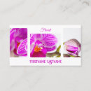 Recherche de belles fleurs Fleuriste