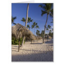 Recherche de bávaro Sable