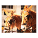 Recherche de mule posters Équipe