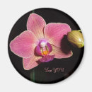 Recherche de rare magnets Fleur